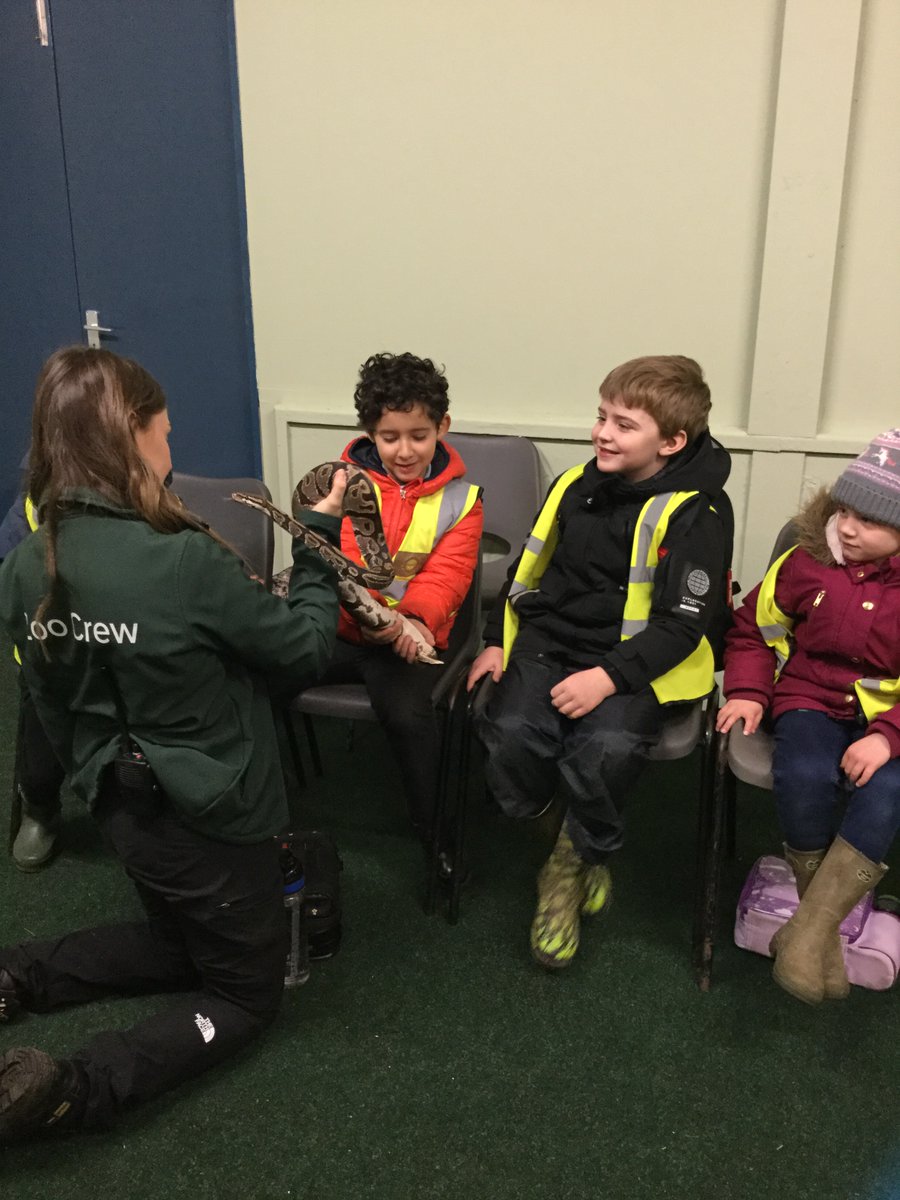 AlburghCE's tweet photo. #seedlingsclass had a fantastic day @banhamzoo yesterday bringing their #science topic of #amazinganimals well and truly to life! @ZooSocEA #banhamzoo #education #animals #zoo https://t.co/ml8FlkMcyk