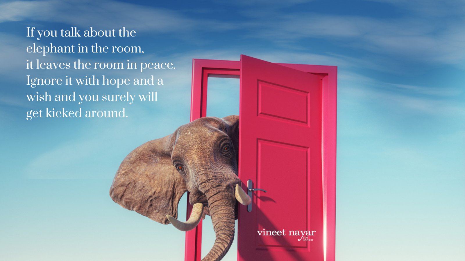 elephant-in-the-room-quote-rowan-drake-elephant-in-the-room-lyrics