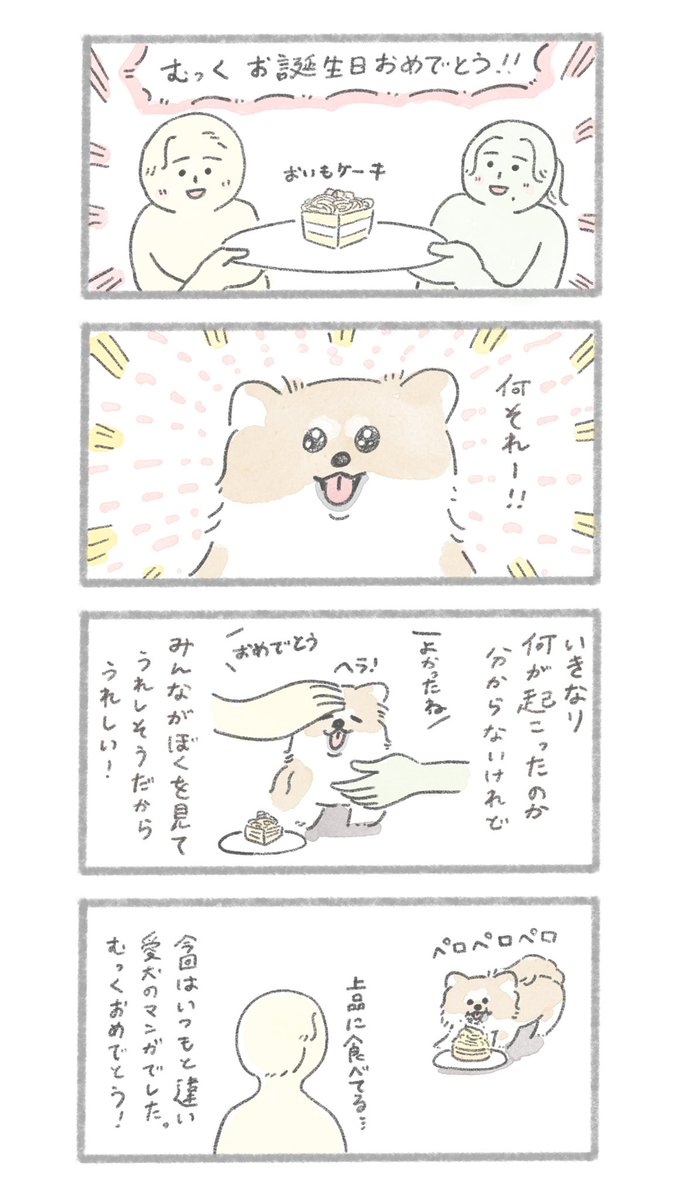 愛犬むっくが1歳になりました🐶 