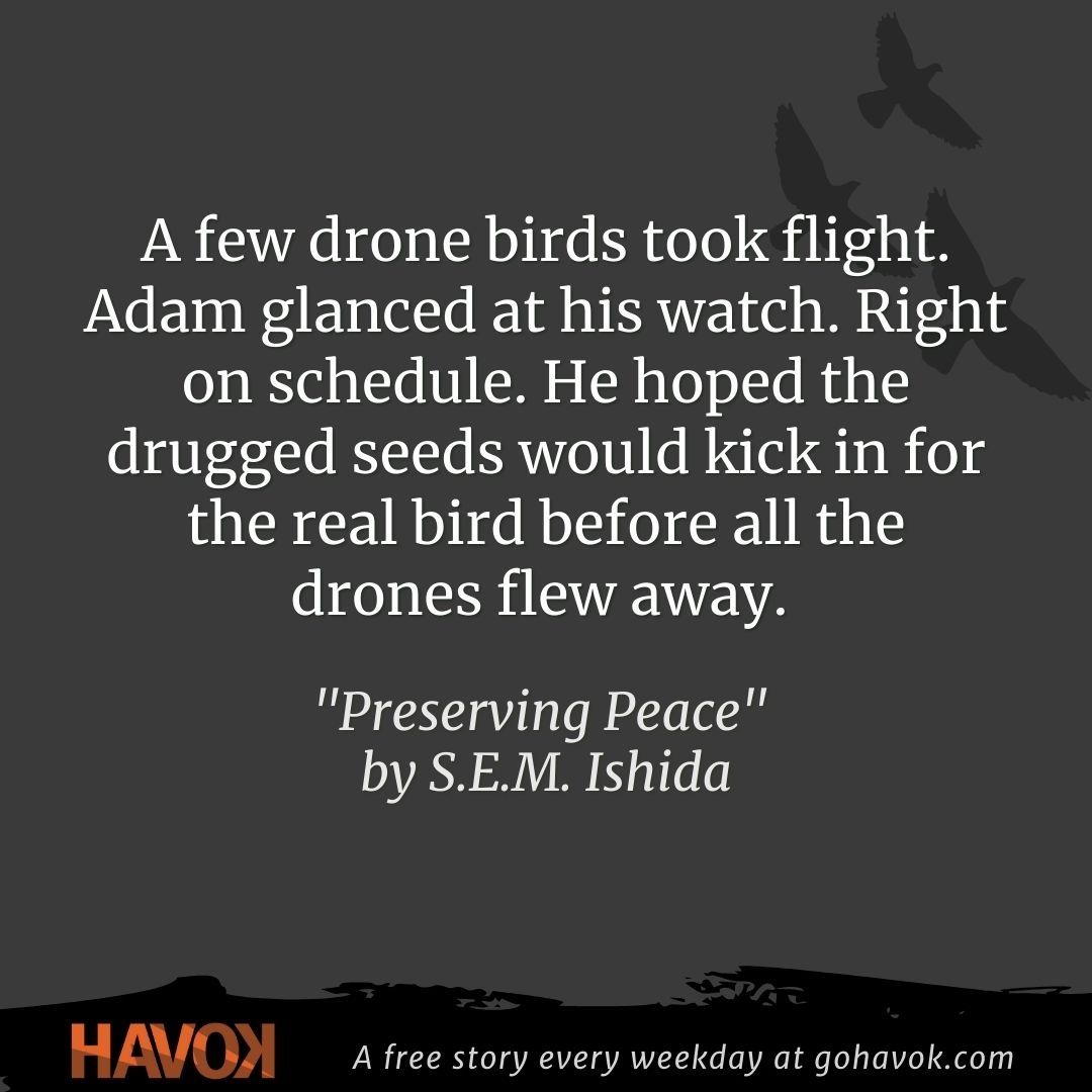 Havok Publishing tweet media