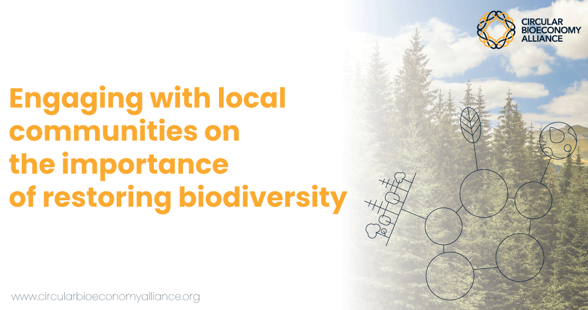circbioalliance's tweet photo. To accelerate the development of climate-resilient natural forest habitats, and enhance the function of buffer zones, #CBALivingLab #Romanian #Carpathians #DambovitaValley aims to help transform spruce monocultures into natural mixed forests, introducing missing species. https://t.co/aHPFNDXR0g