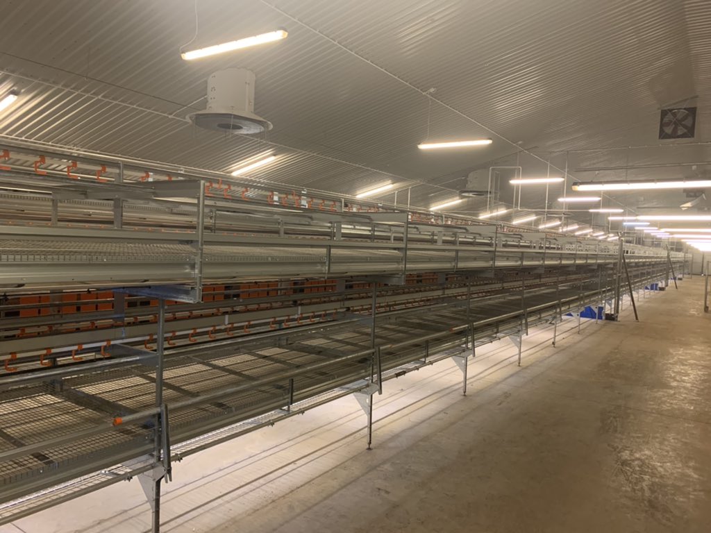 Commissioning day on out Natura 260 rebuild.
Site now getting back to its former glory.
#freerangeeggs #newquip #BigDutchman