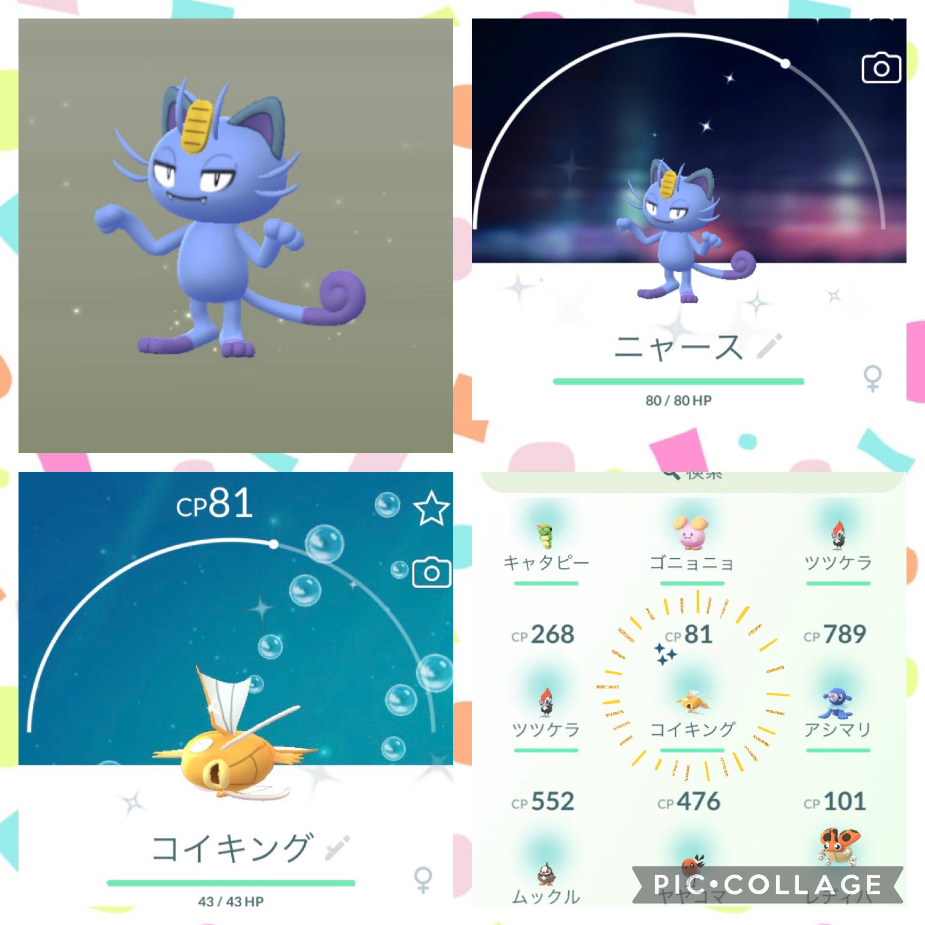 ミント そろそろ色違い って思ったら こちらでした 今はピンクの子がほしいな ポケモンgo 色違い アローラニャース コイキング T Co Yvumvttrwo Twitter