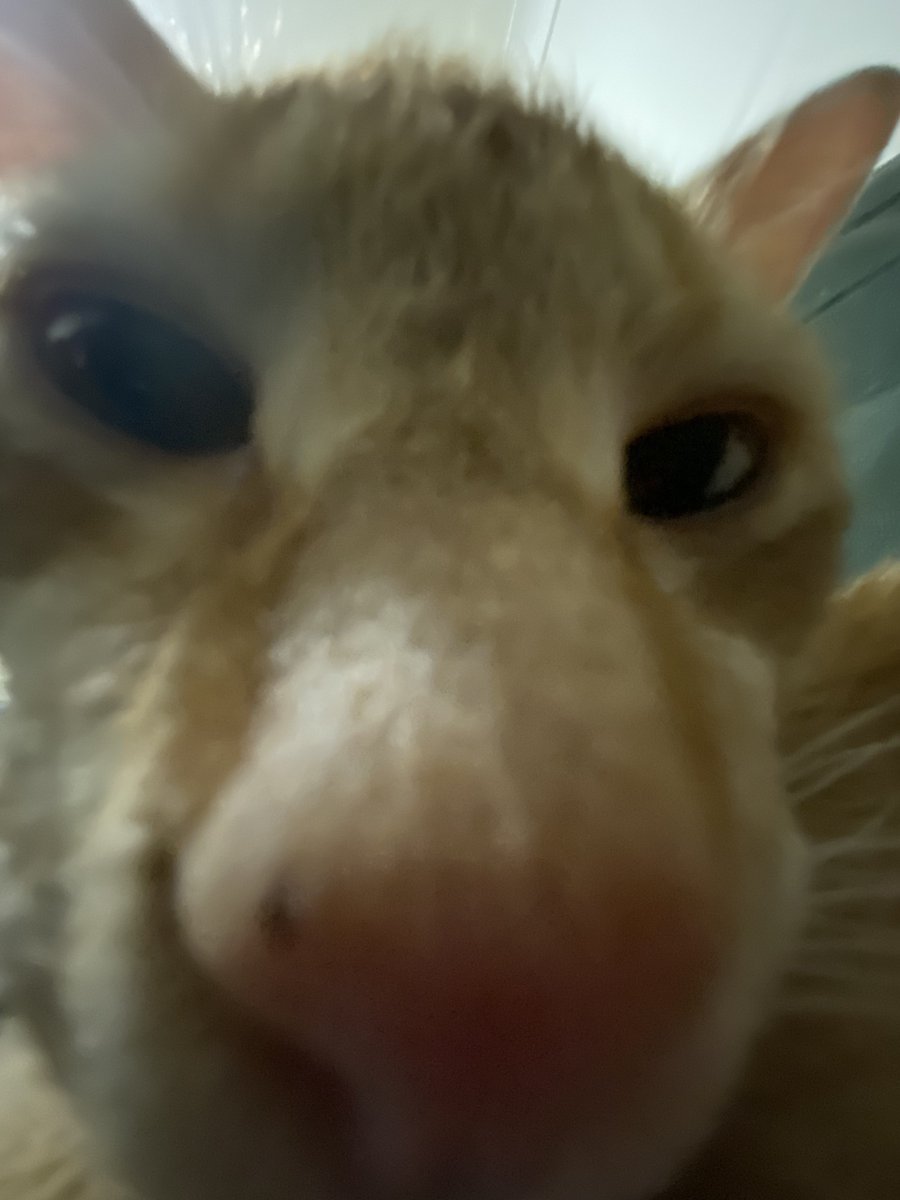yourlittelboy's tweet photo. WHO is this !!!!!! https://t.co/y9uF7LkZhH