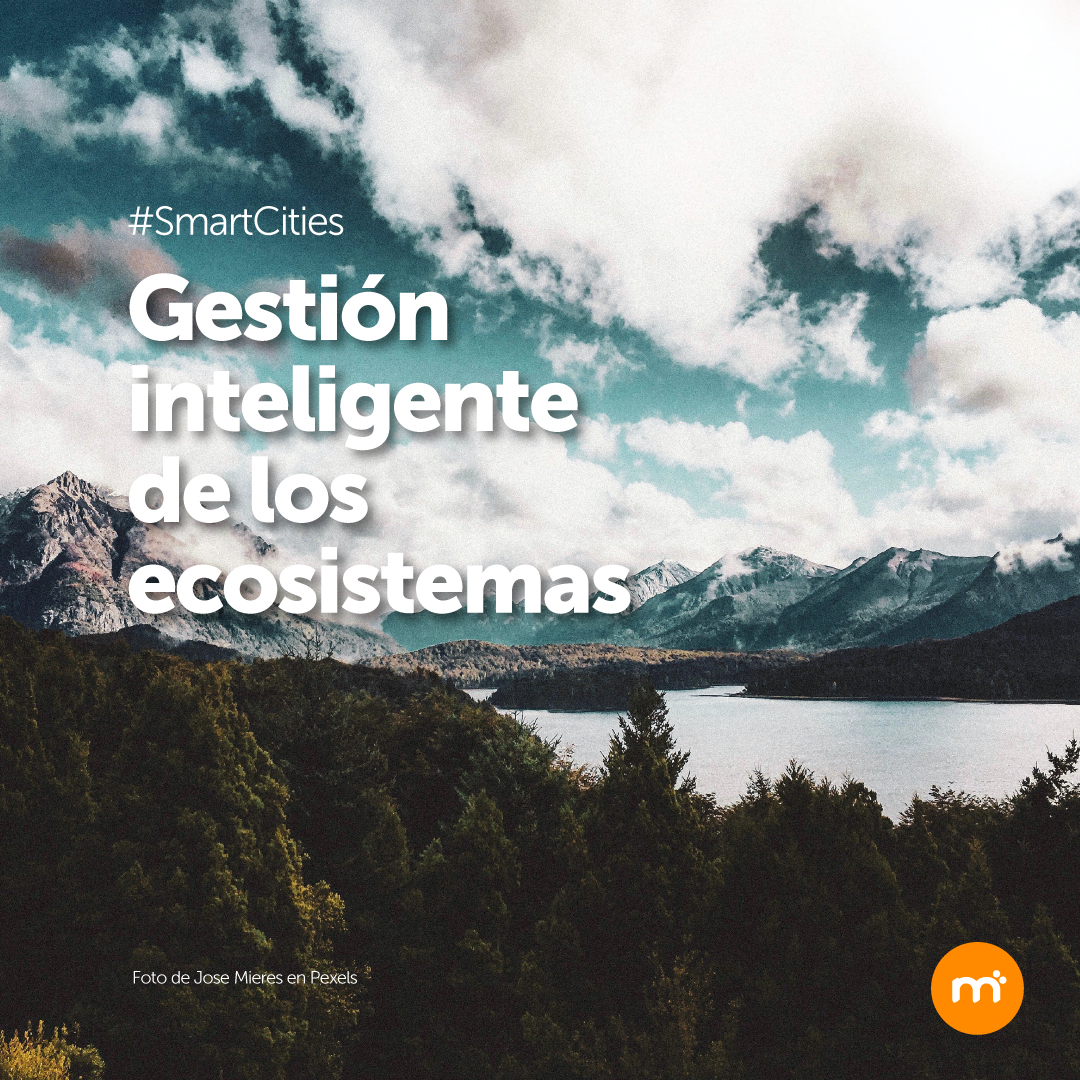 mooba_ar's tweet photo. La tecnología de monitorización y la data analytics, cumplen un rol fundamental en la gestión de la seguridad de los ecosistemas y la conservación del entorno natural.
#SmartCities #innovacion
 #tecnologia #SmartSolution
 #SmarCity #ecosystem 
#gestionambiental #dataanalytics https://t.co/mupeJZrNId