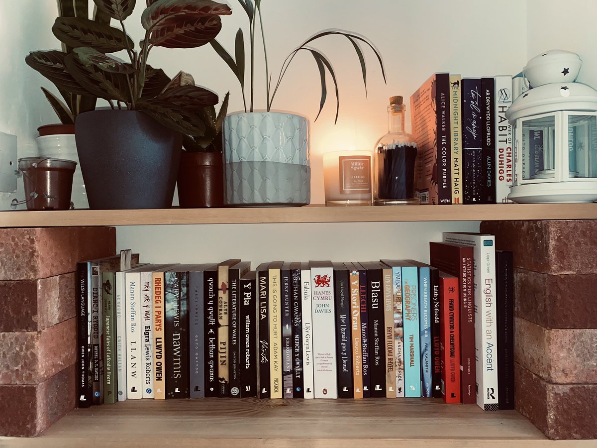 Diwrnod y llyfr hapus 📚