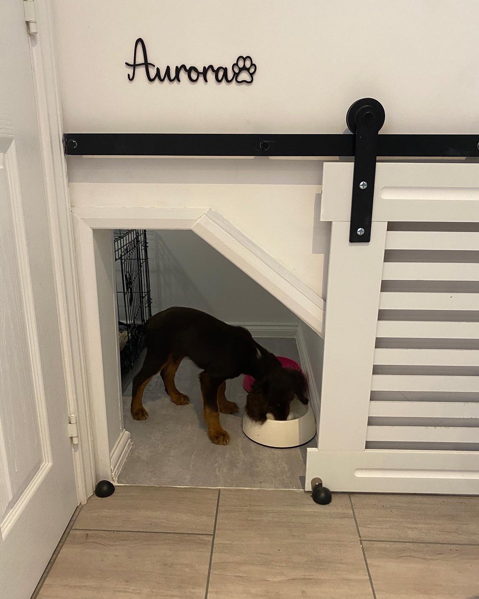 adventure_SW's tweet image. Only something this cute could keep waking me up in the middle of the night and I’ll still stand in the rain in my pjs so she can have some company!!! #newpuppy #sleepsteeler #cockerspaniel #Spaniel