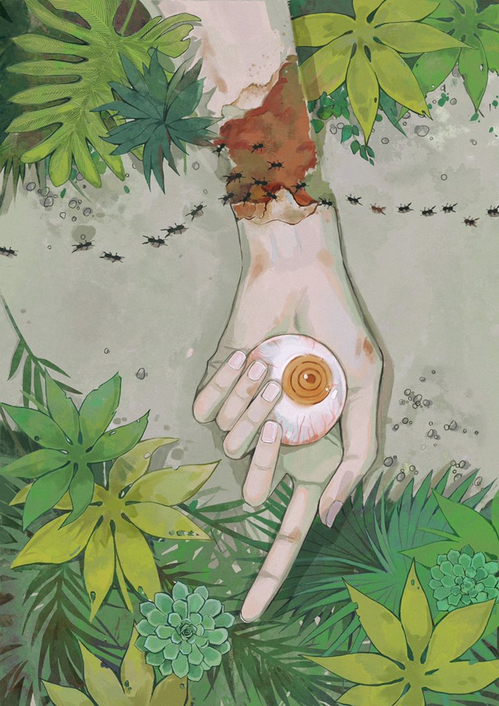 蒸餾紅雀 tweet media