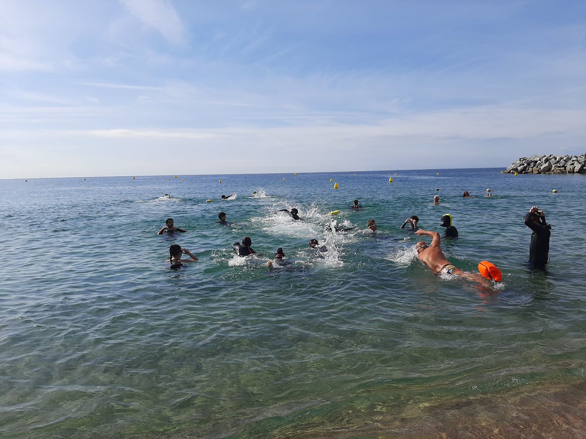 CEES.CAT tweet media