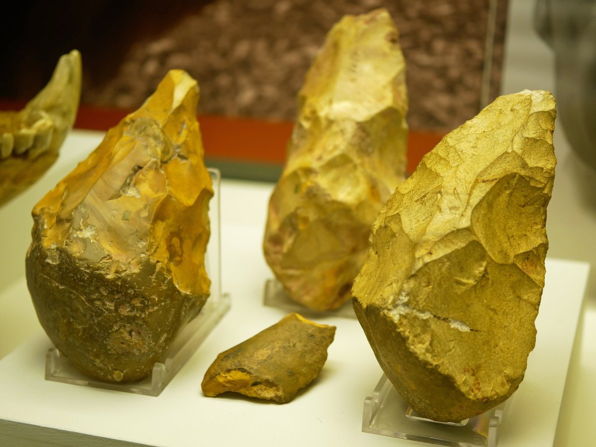 TorquayMuseum's tweet photo. Are these Britain's oldest handaxes? According to the latest research conducted by Callum Wilson, a visiting researcher from @ucl, the answer is probably YES! You can read a whole article about his research here: https://t.co/PhxzU87ItF. #handaxes #prehistory https://t.co/4Zc42nvYJJ