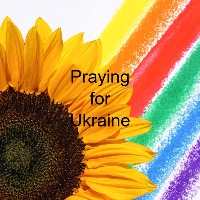 Irene Brankin (@irenebrankin) on Twitter photo 