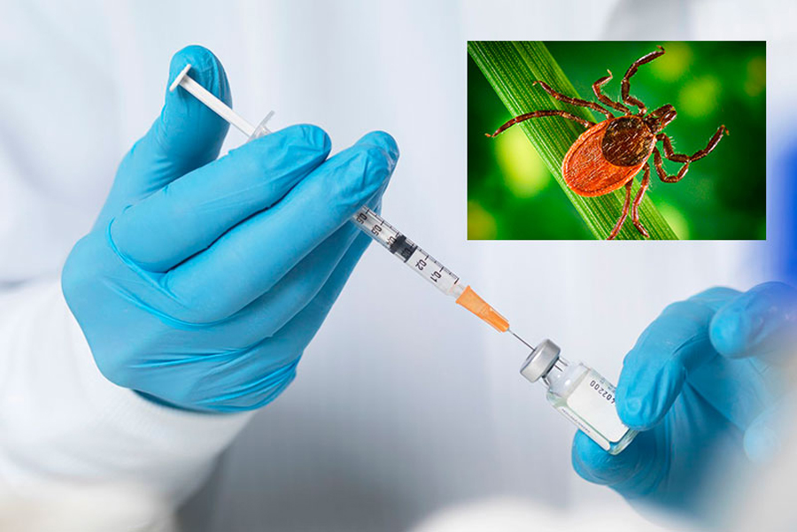 🔊Уважаемые пациенты Взрослой поликлиники № 7!

💉Для тех, кто весной и летом много времени проводит на природе, пришло время прививаться от клещевого энцефалита.

✅Ждем вас по будням с 8.00 до 16.00, кабинет 112.
Нужно взять паспорт, полис, СНИЛС и карту в регистратуре.