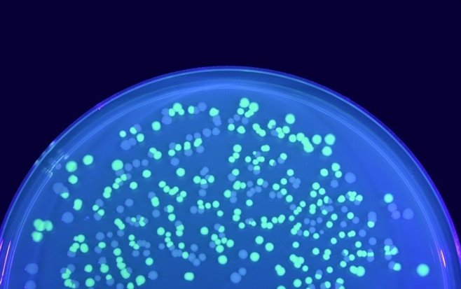 Maitree🌻 tweet media