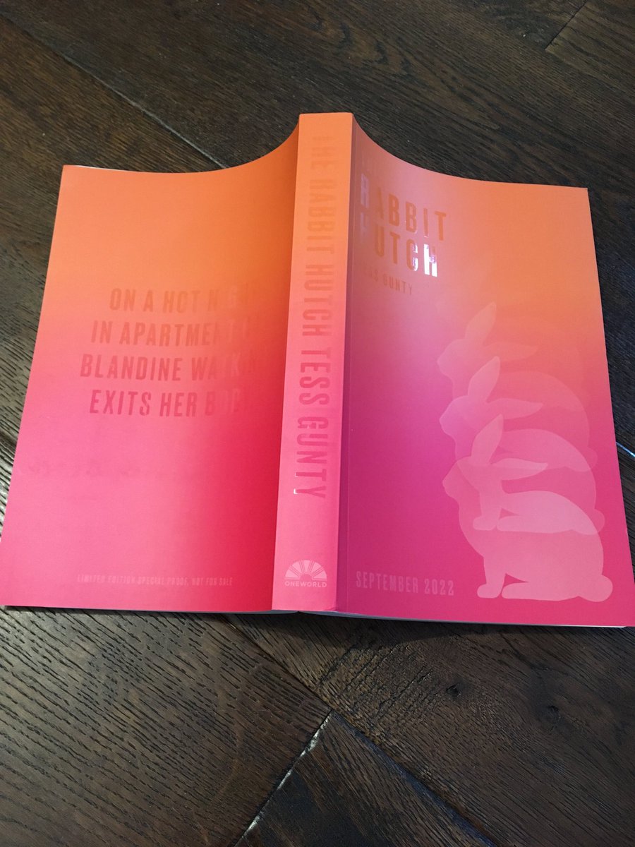 fionamsharp's tweet image. Beautiful cover. My photography skills are lacking though. Thank you ⁦@OneworldNews⁩ ⁦@Oneworld_bkshop⁩ #TessGunty #TheRabbitHutch
