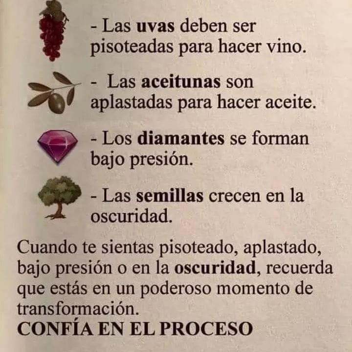 Confía en el proceso...