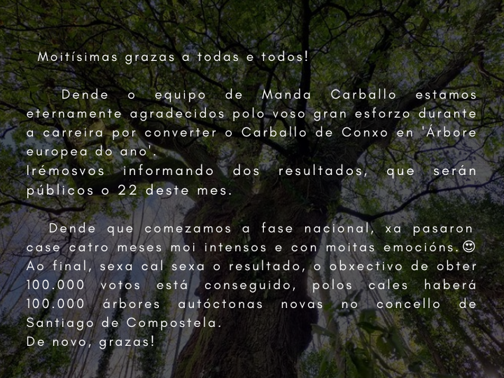 Carballo Banquete de Conxo tweet media