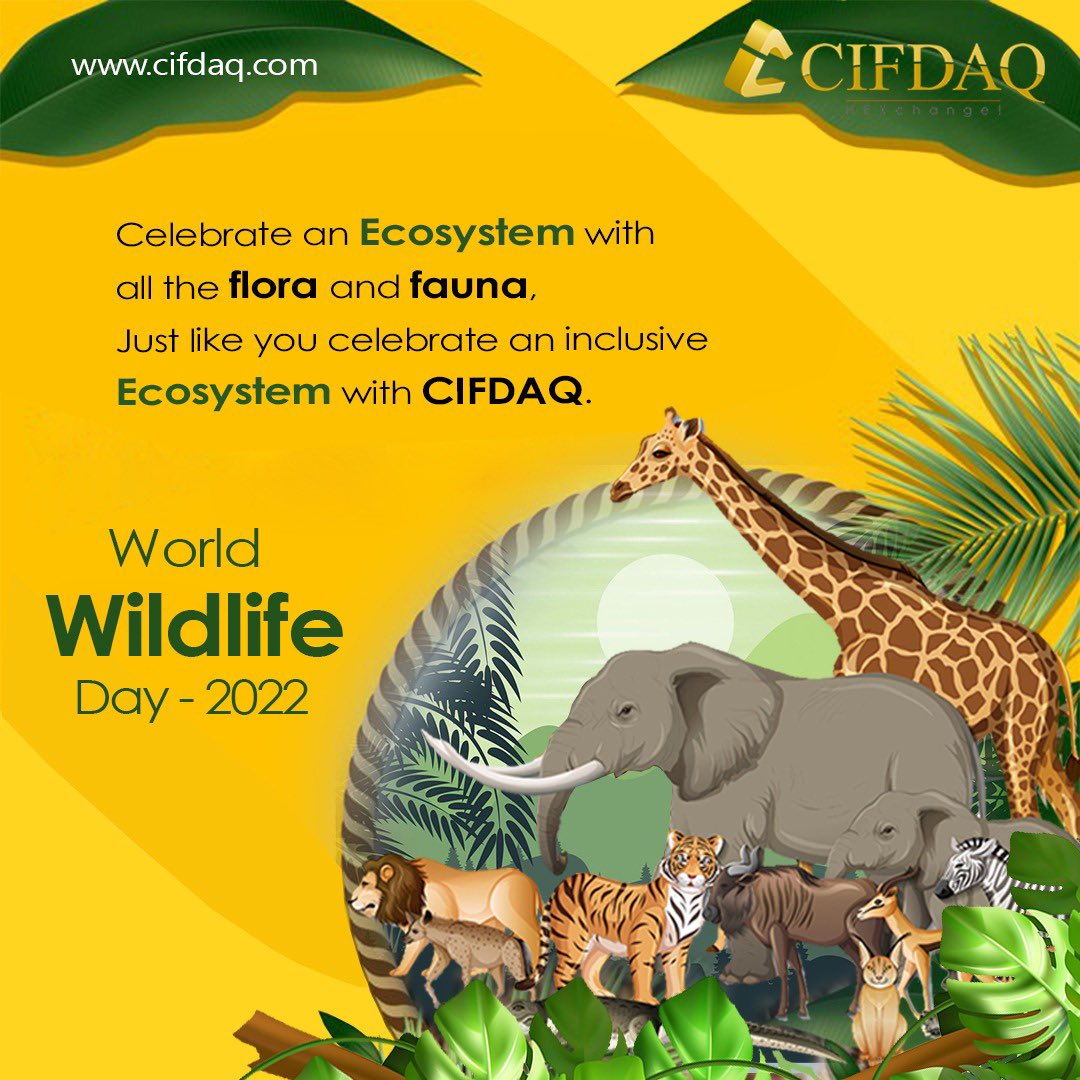 cifdaq's tweet photo. “Inclusiveness of All” is a core value at #CIFDAQ, and the #Exchange acts as an #EqualPlatform for all, rich or poor. This belief furthers our notion of an #Ecosystem where every #species live amongst each other, may it be flora or fauna. #WorldWildlifeDay 🐯
#WildlifeDay https://t.co/aoHjX50N2z