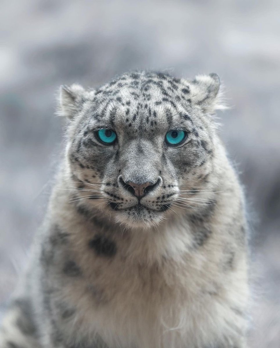 Discover Earth tweet media