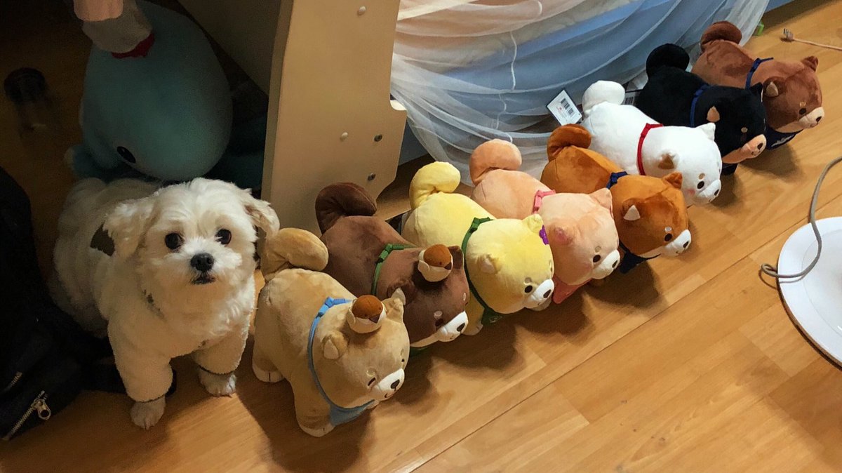 obokluv3835's tweet photo. 김정우를 찾아보시오(100점) https://t.co/4IsY6bFEgL