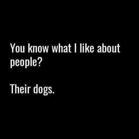 sam (@adventuringwsam) on Twitter photo 