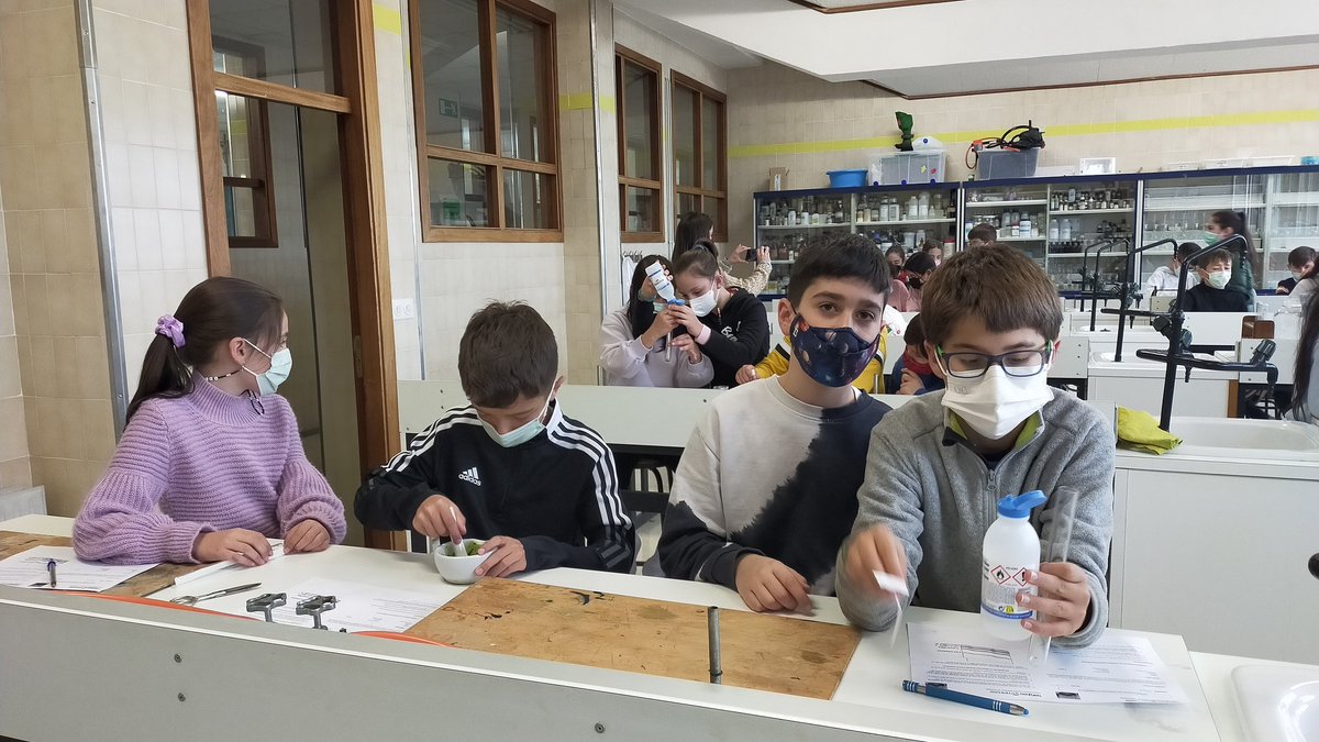 danirucandio's tweet photo. Hoy en nuestro proyecto STEAM sobre ecosistemas de Campoo, seguimos investigando y experimentando sobre la fotosíntesis en 5° de Primaria.
@openSTEAMgroup #STEAMTeach
#LaMennais #sanjosereinosa https://t.co/OuThICiZmV