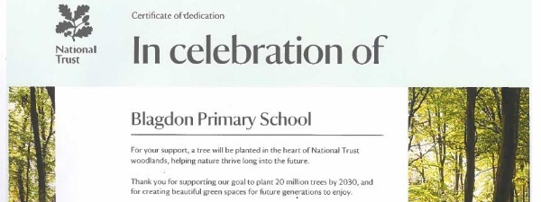 Blagdon Primary tweet media
