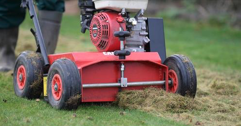 Kin_Kan_Do's tweet photo. As we move into spring, the time spent in your garden will most likely increase- so keeping it as lush and green as possible is a must! Our scarification service can help you with that… Find out more details about what we offer here:  https://t.co/69kbpCPBG5 https://t.co/okKTQEMGeH