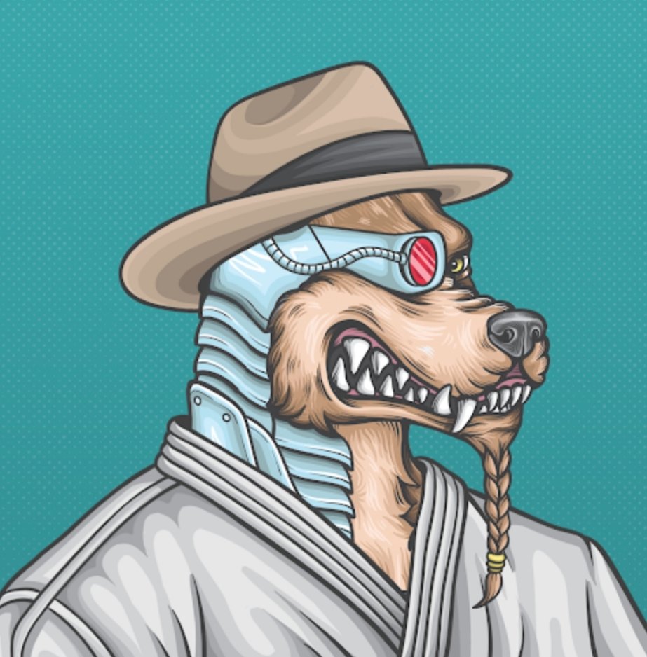 justjr88's tweet photo. @OubiEth @cunningWolfNFT come join the pack. When #Tokenflare comes out you will be ahead of the game. https://t.co/2mMdgB2yAX