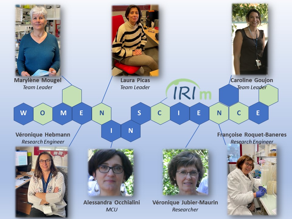 IRIM_life's tweet photo. Day 14 : In line with our women at @IRIM_life series, are highlighted today Véronique H &amp; Françoise, engineers, Marylène, Alessandra &amp; Véronique JM, researchers, and young team leaders like @caro_goujon &amp; Laura in our second poster 🔬🥼 #WomenInScience #WomenInSTEM https://t.co/XnnssvMwkm