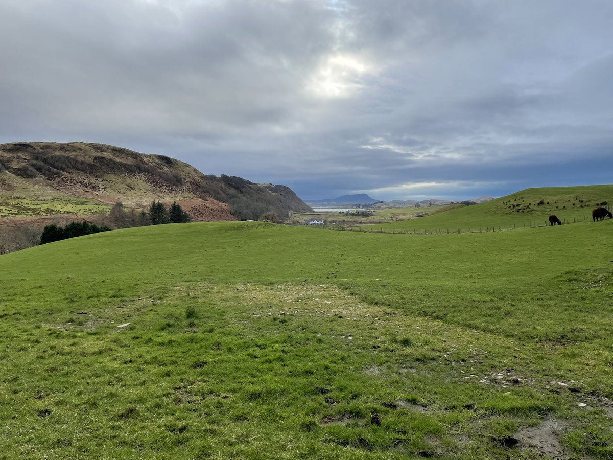 Edward Banks tweet media