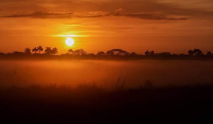 Hoy se celebra el Día Mundial de la Vida Silvestre. En #Cuba tenemos como premisa preservar nuestros recursos naturales,
concientizar a la población acerca del valor de la flora y la fauna, y combatir los delitos ambientales.

#CubaVive