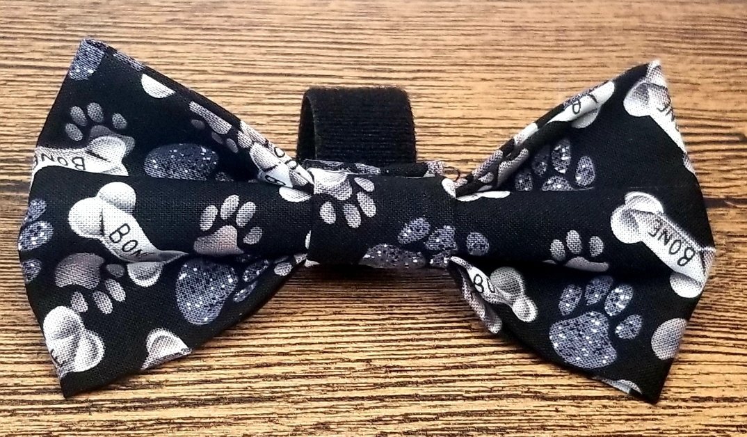 Guess who's going to the dogs! Welcome to the family!

#tiemyknot #petfashion #charlottenc