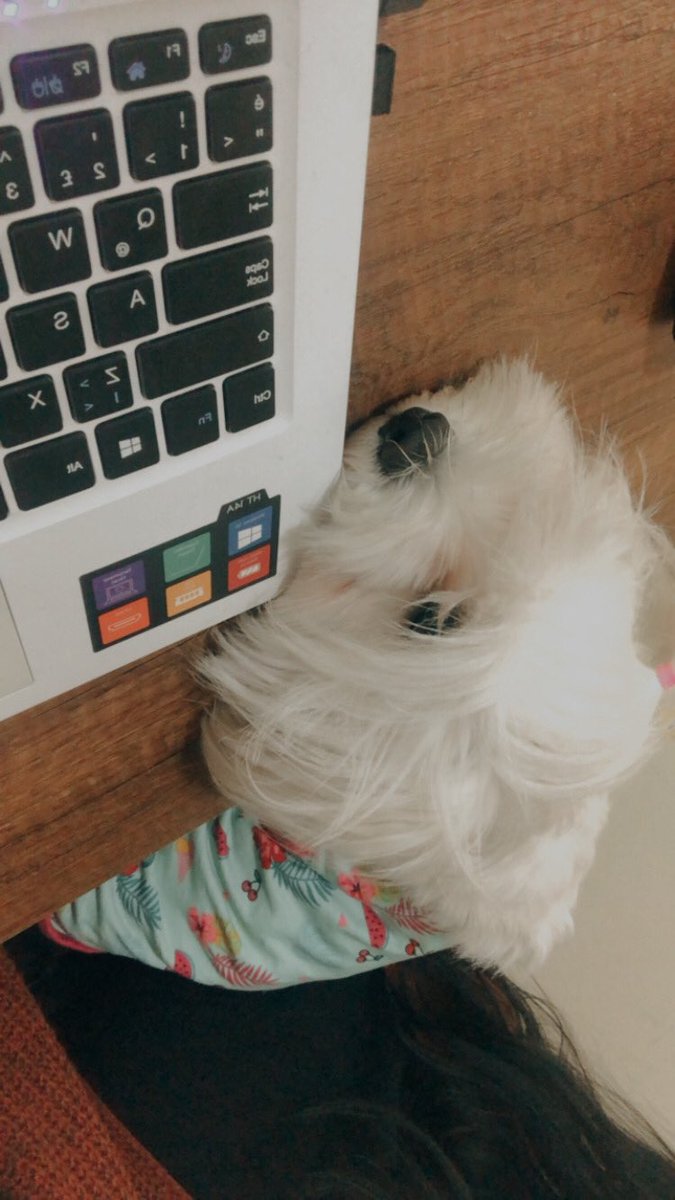 çalışıyorumdur 😂