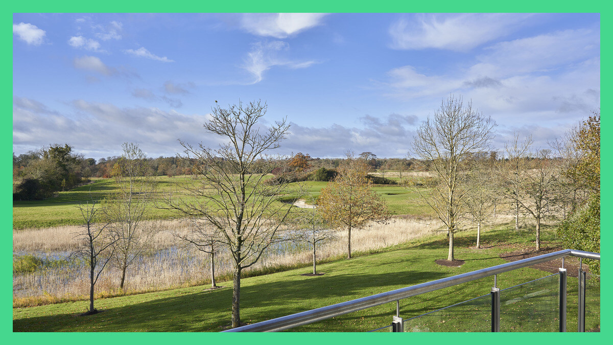 A very happy #WorldWildlifeDay from County Meath, where we're overlooking the grounds surrounding Loughmore at Killeen Castle 🏰 

The greens are starting to pop and the skies are staying blue just a tiny bit longer these days, it finally feels like spring is on the horizon.