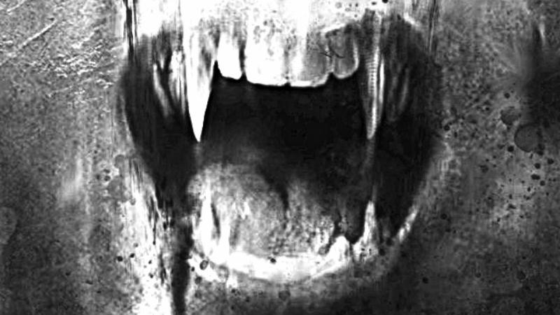 usMonstersAndMe's tweet photo. Have a great 🩸 Thirsty Thursday lovely monstars &amp; good morning!!
❤️‍🔥
#ThirstyThursday #HorrorFam #Vampire https://t.co/Esj43xy3Hl