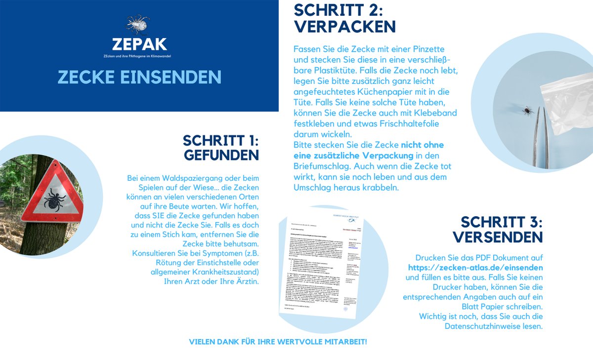 Anleitung des Projektes Zepak um eine gefundene Zecke zu verpacken und zu versenden.