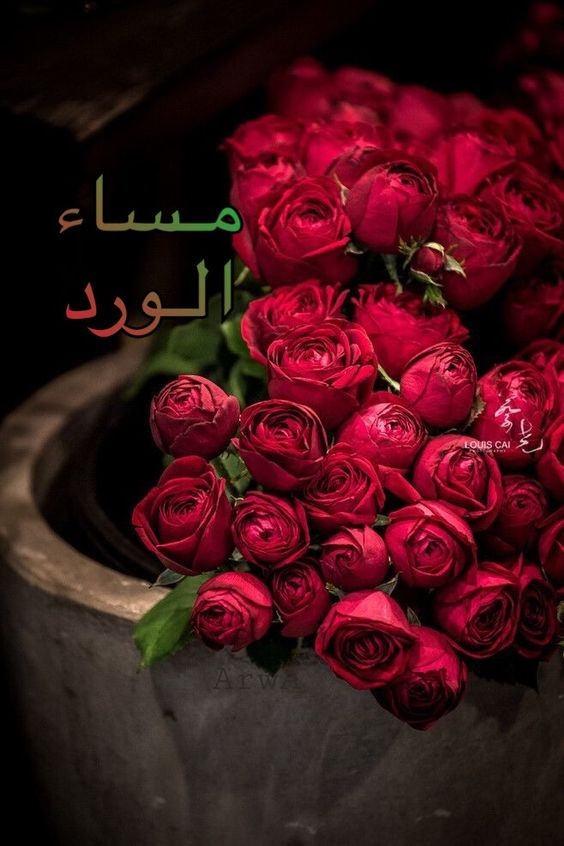 Waleed35755329's tweet photo. مسآء الخير على جميع الاصدقاء https://t.co/0MvJj3bZm9