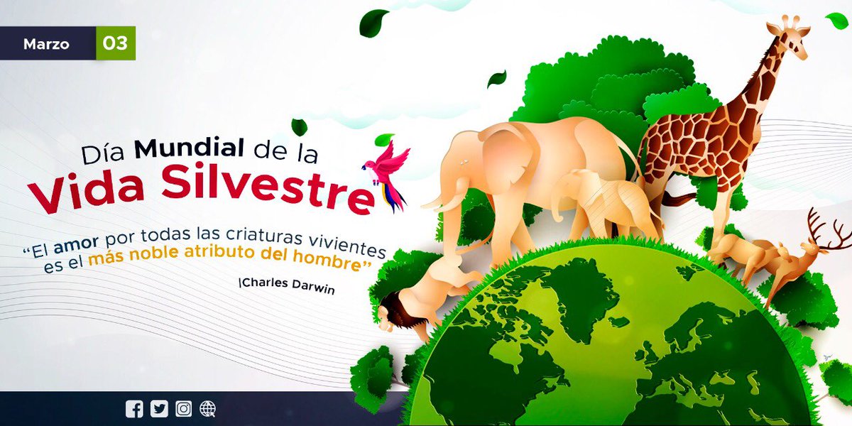 “Somos la única especie con el poder de proteger cada especie sobre la tierra, incluyéndonos a nosotros mismos” ¡Buen día!