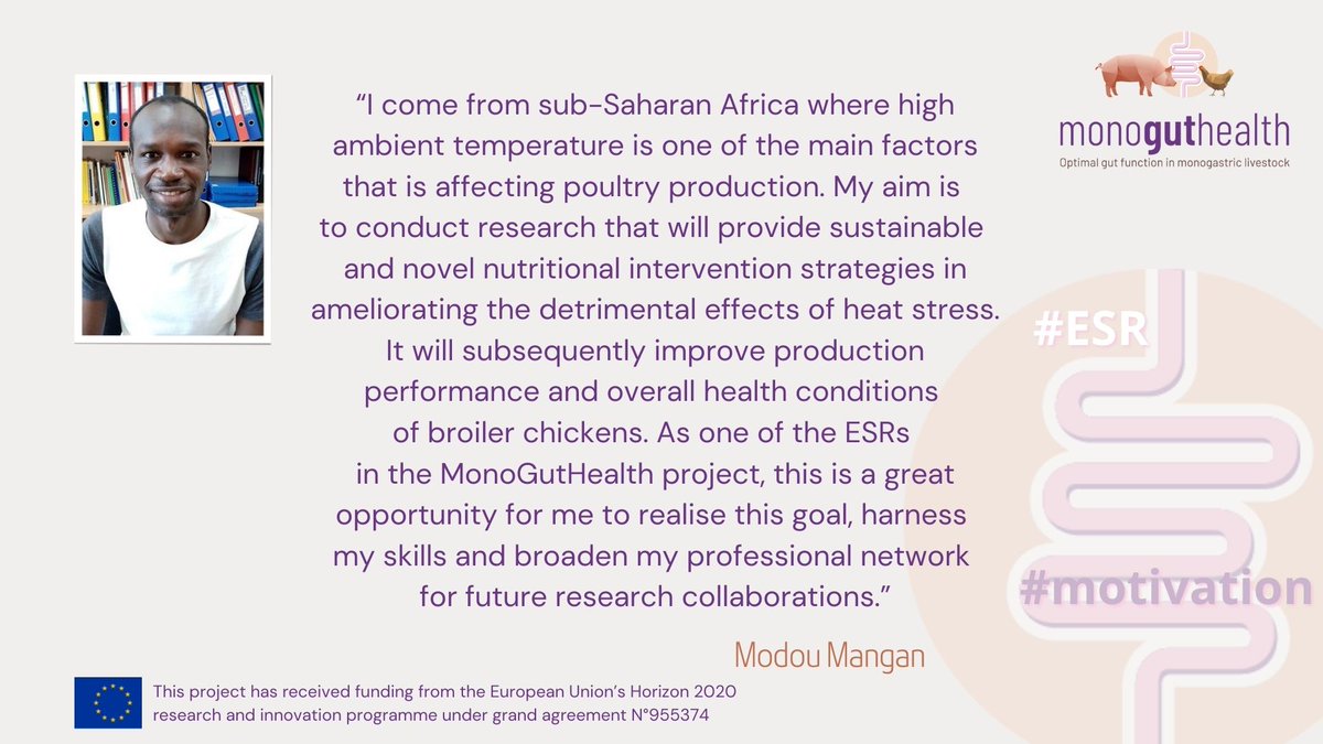 MonoGutHealth (@monoguthealth) on Twitter photo Check out what #motivated <a href="/ModouMangan1/">Modou Mangan</a> to join <a href="/MonoGutHealth/">MonoGutHealth</a> <a href="/Pol_Bydgoska/">Politechnika Bydgoska</a> <a href="/MSCActions/">Marie Skłodowska-Curie Actions</a> #H2020 #scicomm #heatstress #inovo
To learn more about <a href="/MonoGutHealth/">MonoGutHealth</a> and the ESRs, visit our website monoguthealth.eu Check out what #motivated <a href="/ModouMangan1/">Modou Mangan</a> to join <a href="/MonoGutHealth/">MonoGutHealth</a> <a href="/Pol_Bydgoska/">Politechnika Bydgoska</a> <a href="/MSCActions/">Marie Skłodowska-Curie Actions</a> #H2020 #scicomm #heatstress #inovo
To learn more about <a href="/MonoGutHealth/">MonoGutHealth</a> and the ESRs, visit our website monoguthealth.eu