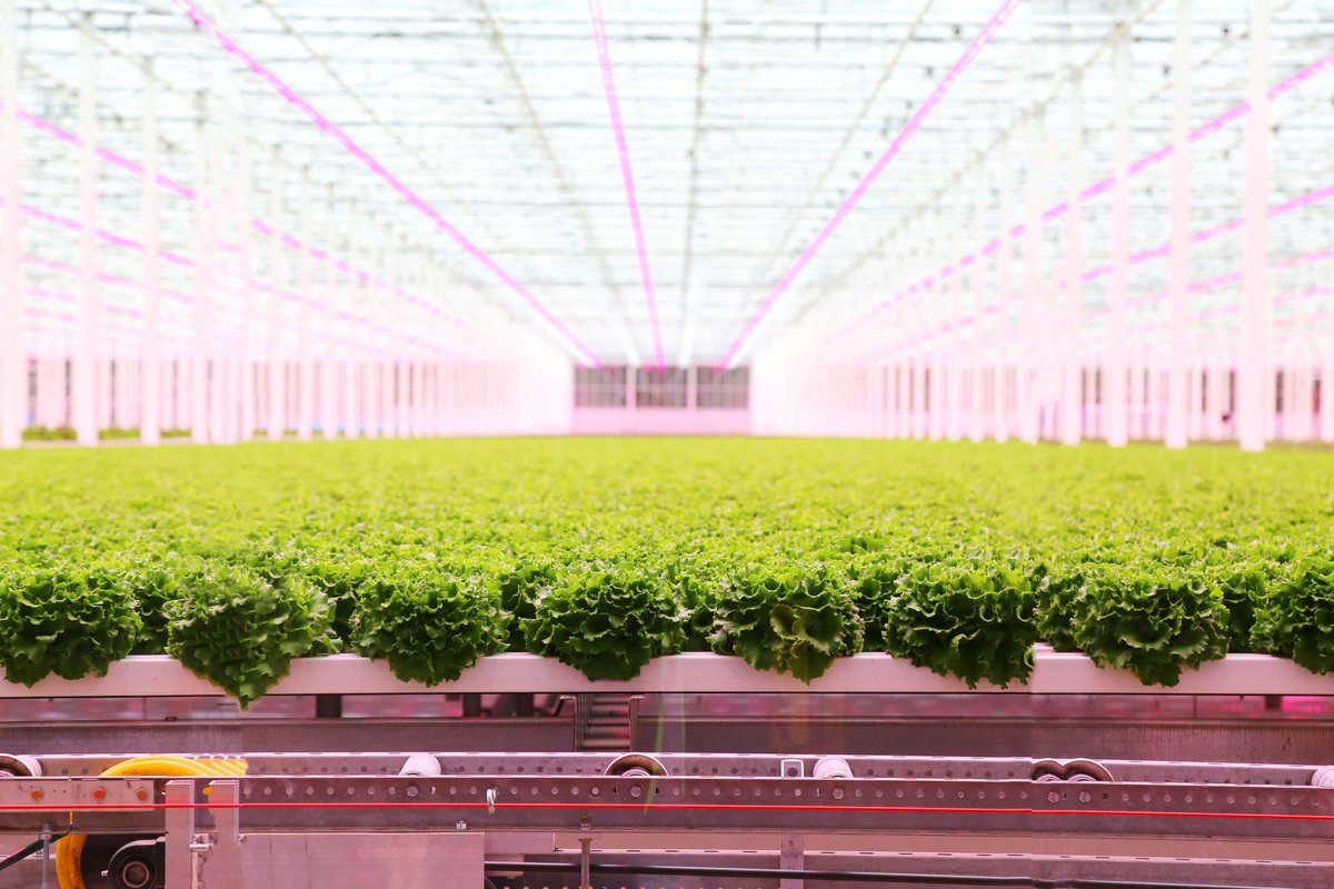 Make sure you stop by @YQLDistrictEX today or tomorrow for <a href="/AG_EXPO/">AG EXPO & North American Seed Fair</a>. CPFC is proud to be a partner of the event and help elevate all the great work happening in the #agriculture &amp; #agrifood sectors in southern Alberta. Photo courtesy of <a href="/InspiredGreens/">Inspired Greens</a>