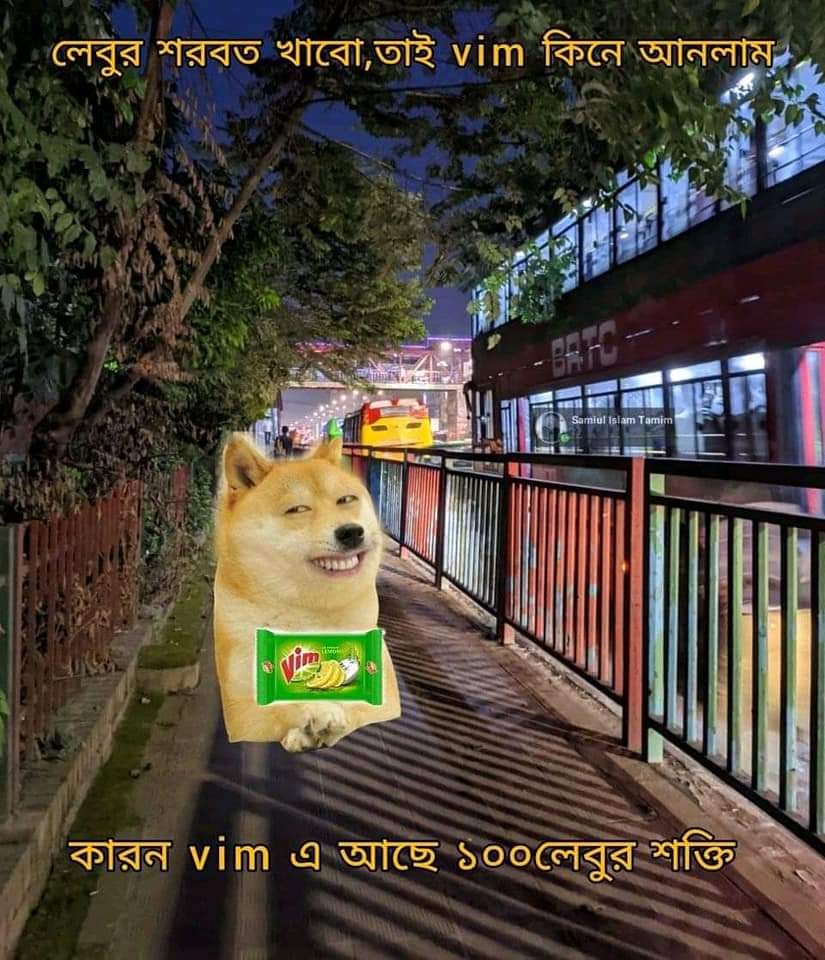 FossilisedRoy's tweet photo. #DailyDoge https://t.co/0pmRCacmik