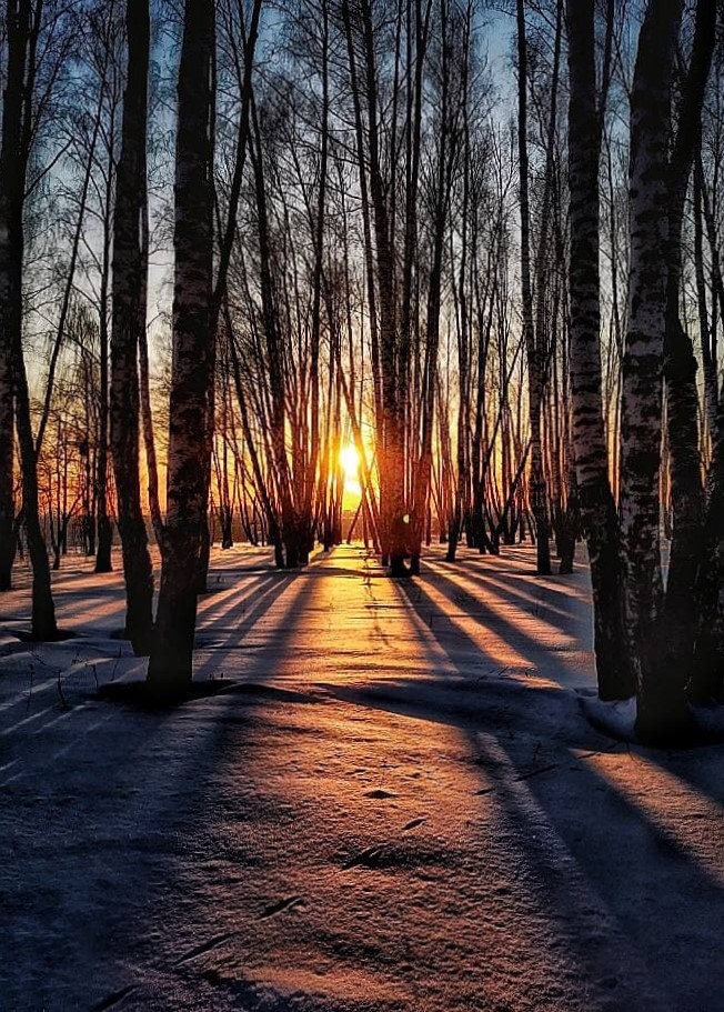 dlhcfo's tweet photo. В ПОДМОСКОВЬЕ ПОДВЕДЕНЫ ИТОГИ КОНКУРСА ФОТОГРАФИЙ «ЗИМНИЙ РУССКИЙ ЛЕС»
https://t.co/FV3sLWpGqm https://t.co/S8GBwiNDn7