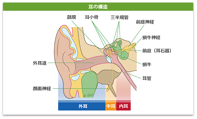 聴覚障害のtwitterイラスト検索結果