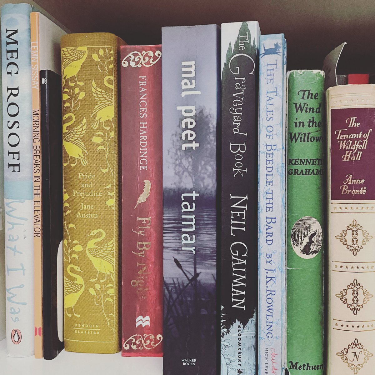 EmmaSherriff1's tweet photo. Happy #worldbookday2022 🎈 

Here’s a lunchtime shelfie of some of my favourites! 🥰 https://t.co/OvxtiJAnCG