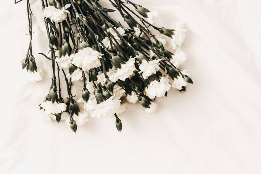 TomNewingSons's tweet photo. Whether it's a traditional funeral or a more bespoke service our funeral directors can advise and assist in every aspect of the planning process. We always show an attention to detail while ensuring any specific wishes are respected. #funeralplans #funeralplanning https://t.co/pKaTAHUoTU