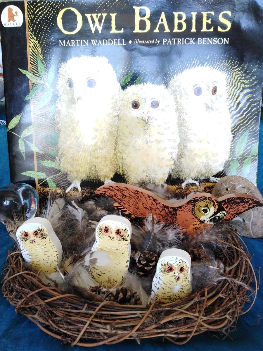 It's #WorldBookDay
Enjoyed by many early years classes and one of our favourites to read with children, has to be 'Owl Babies!' It provokes questions and it's a great story to encourage children to join in... "I want my Mummy", Said Bill! 💛🦉
#owlbabies  #worldbookday2022