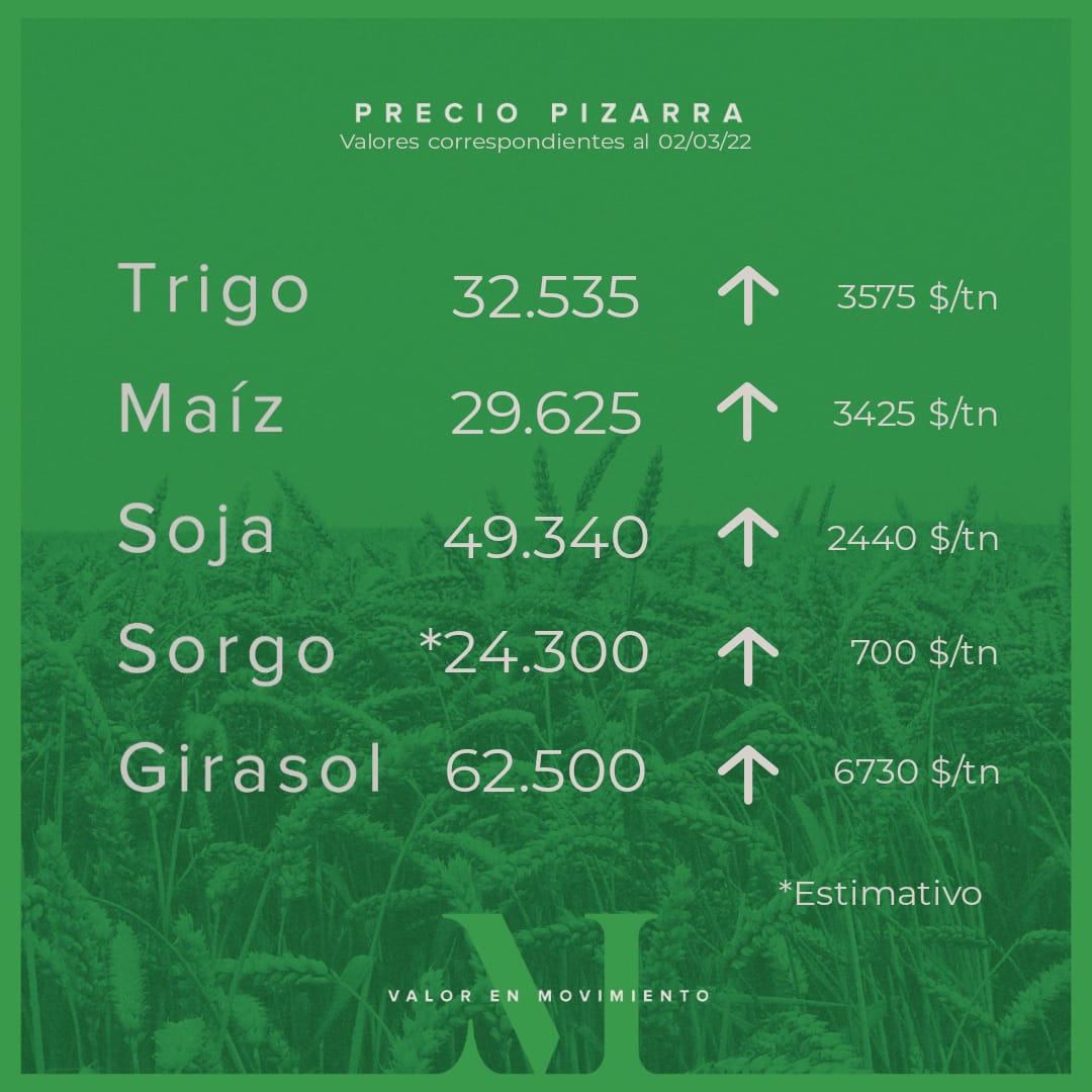 Total 79+ imagen precio girasol rosario hoy