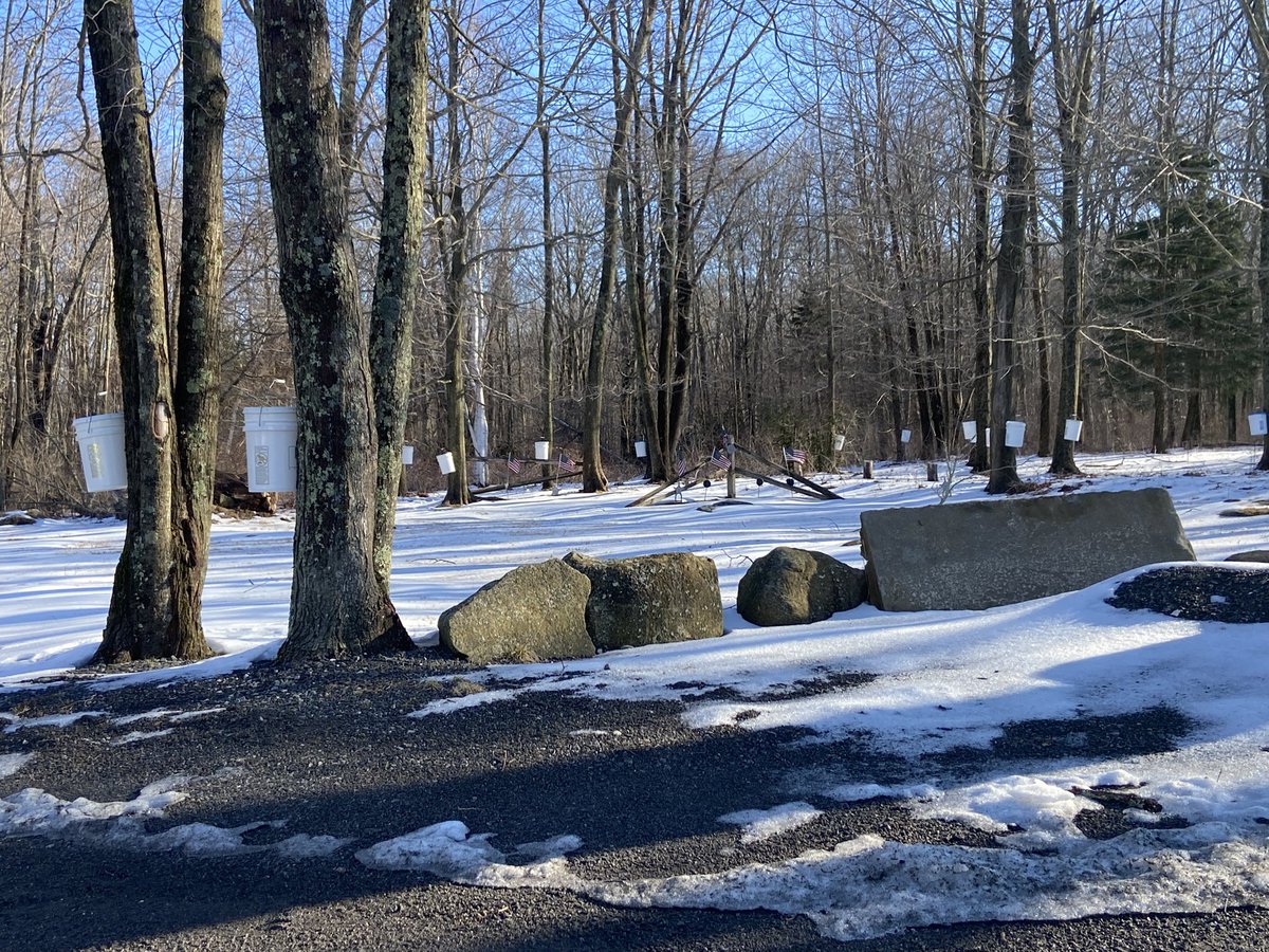 Jacquelyn_Mhd's tweet photo. Maple sugar season https://t.co/wfX4lX0ona