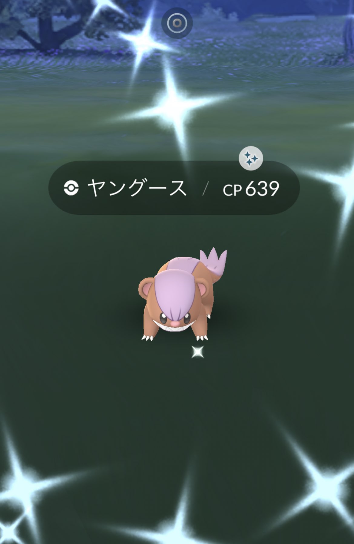 Pokego Fun Di Twitter ヤングース Shiny やった 次は のshinyがんばろっ ポケモンgo ポケモンgo色違い T Co Xgswev7rl4 Twitter