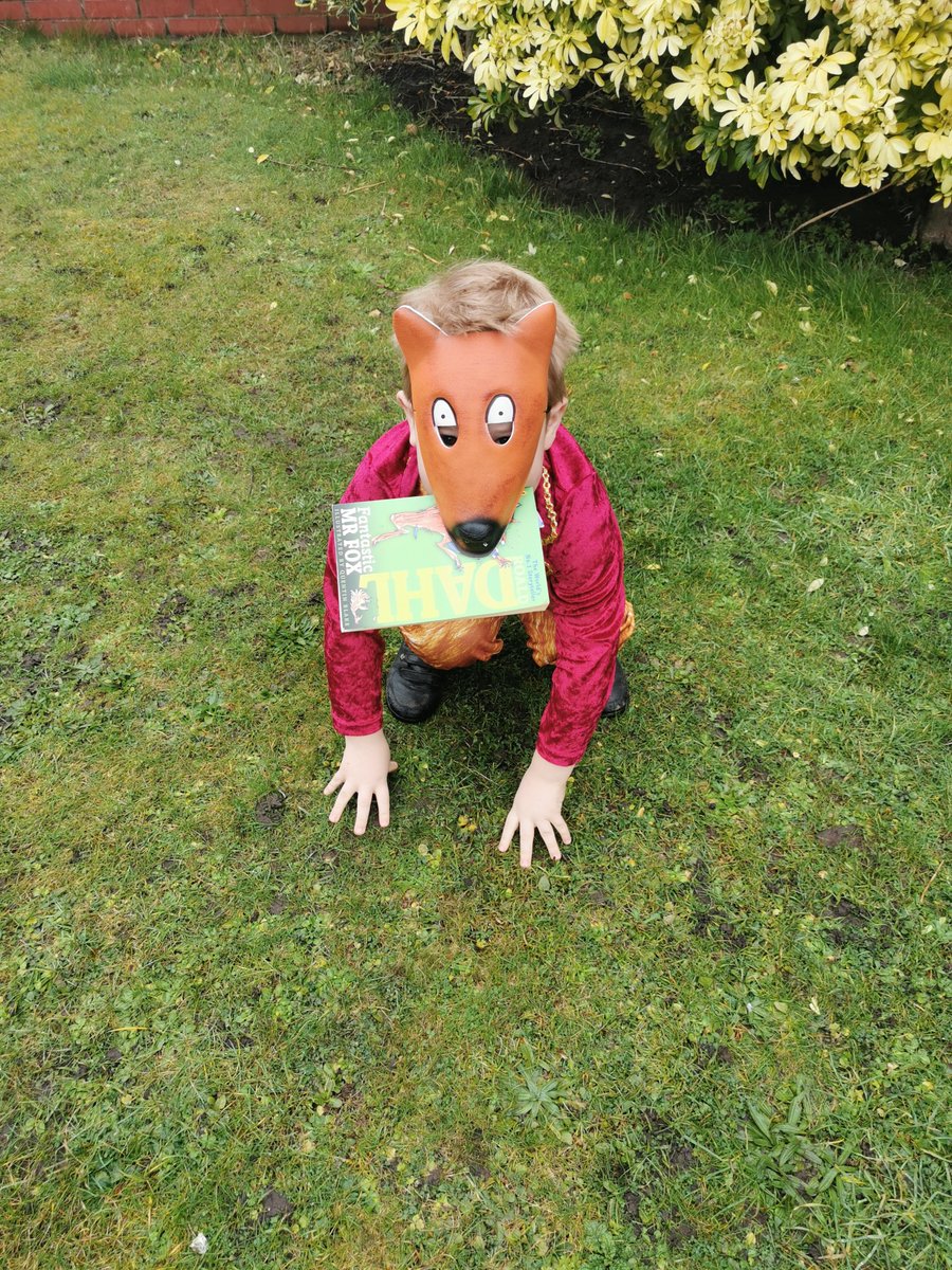 KristyBrooksITT's tweet photo. Today is World Book Day! Here is one of our Educate Group ITT representatives (meet Fantastic Mr Fox AKA Leo)! #worldbookday #developingliteracy 

@EducateGroup2 trainees - let us know what you and your school did for @WorldBookDayUK! https://t.co/9cxy31cDD7